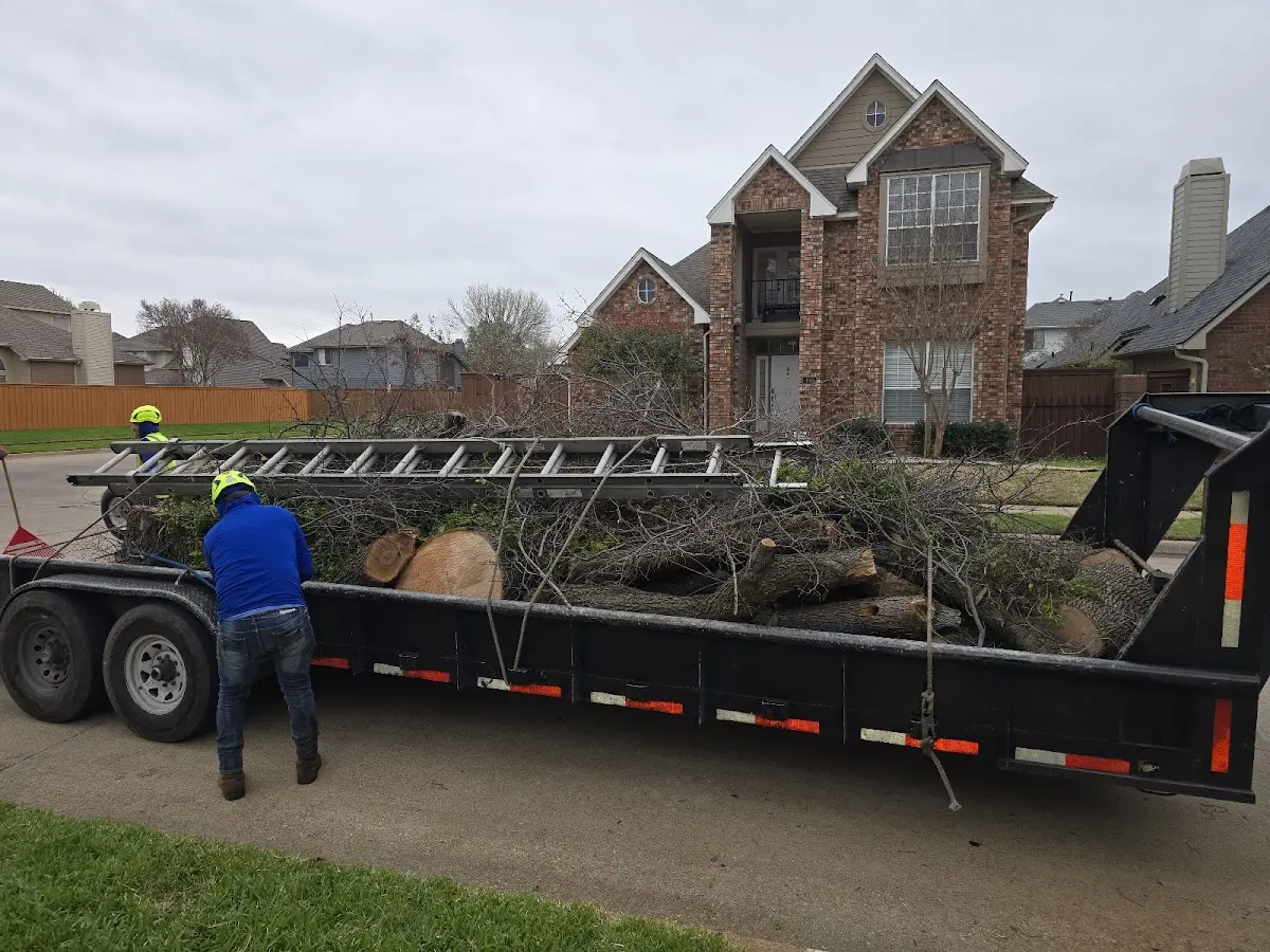 Expert Tree Fertilization with proper safety equipment in Olga